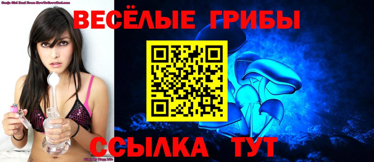 Сунжа  Псилоцибиновые грибы мицелий  Вход с VPN  что такое наркотик  Псилоцибиновые грибы мухоморы 