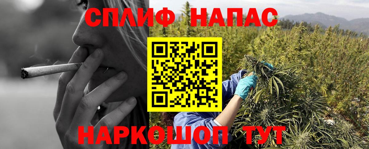 Канабис индика Сунжа